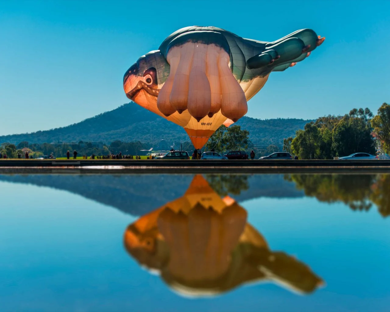 Patricia Piccinini’s Skywhale Photo CREDIT- MARTIN OLLMAN PHOTOGRAPHY The Saturday Paper