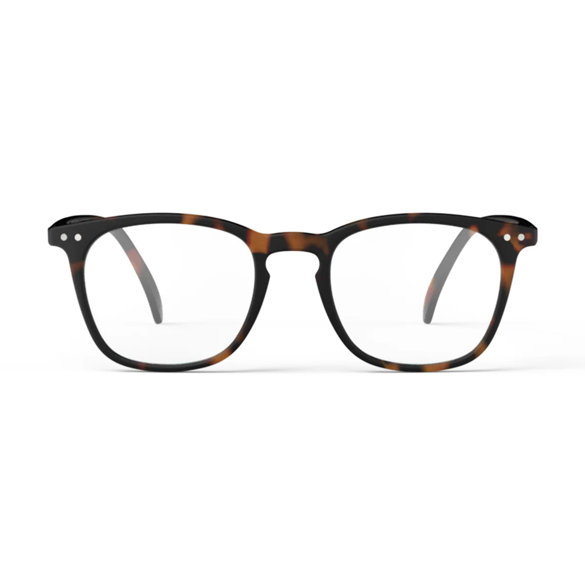 EVERYDAY Tortoise Readers