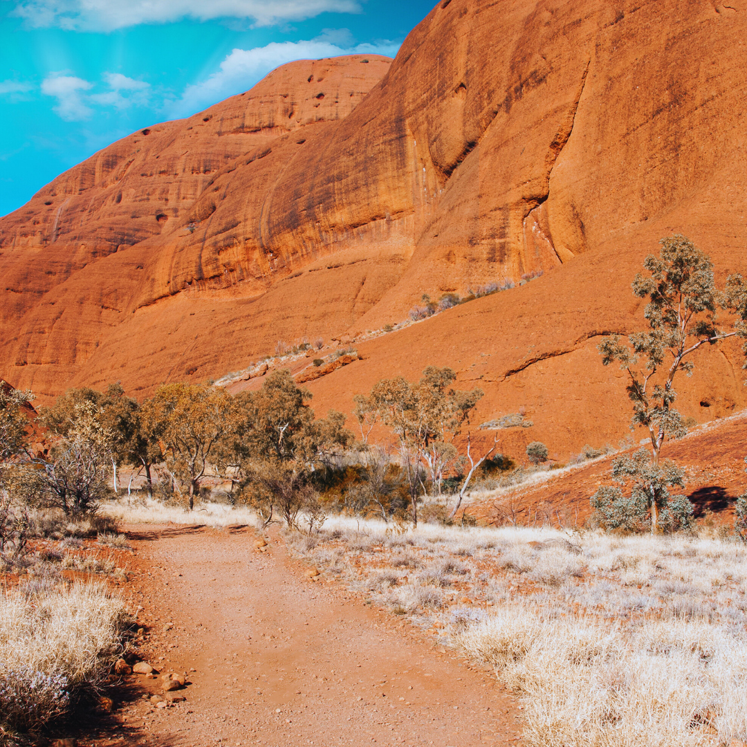 Indigenous Australian Art