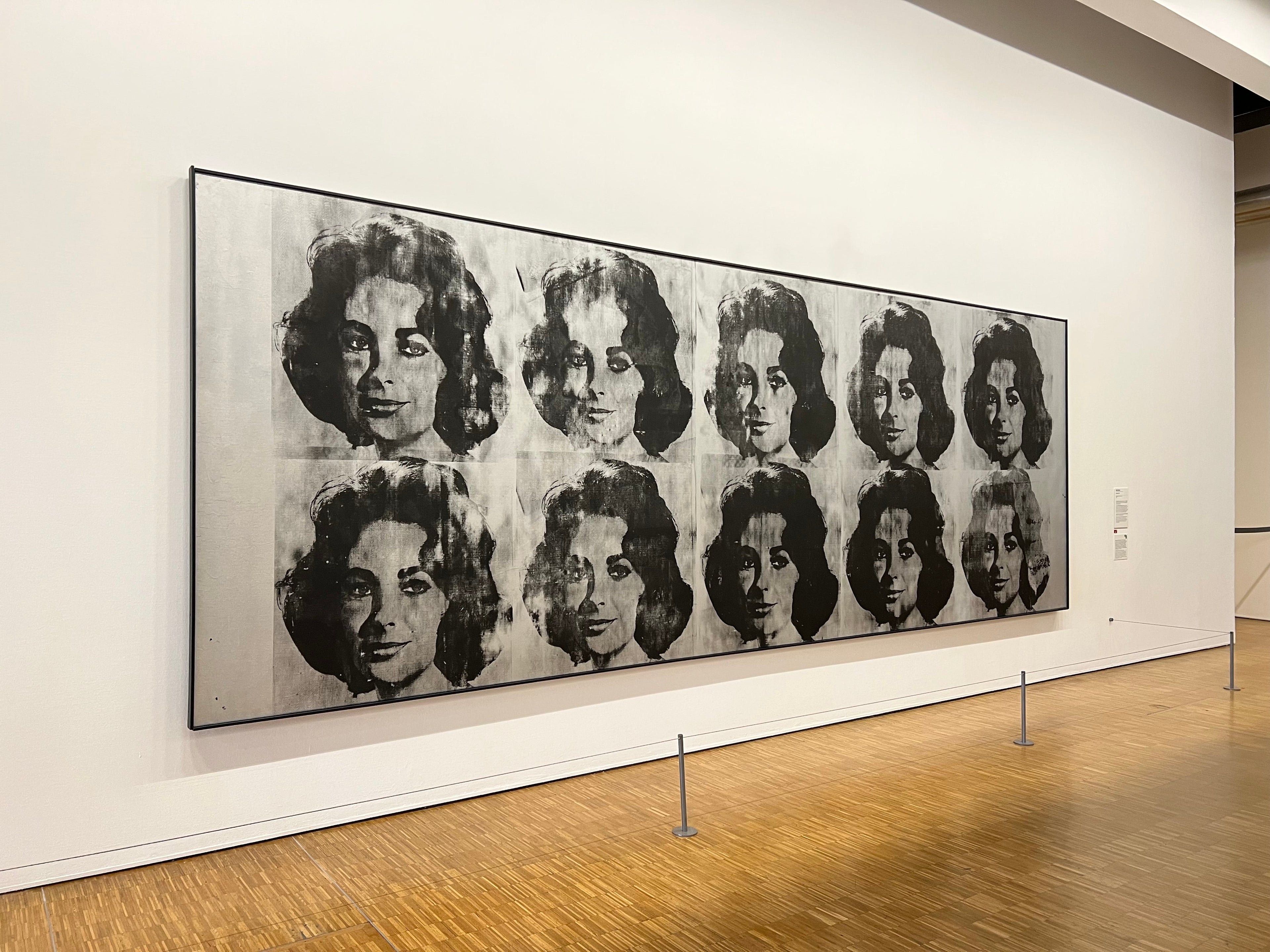 Elizabeth Taylor by Andy Warhol, Georges Pompidou Center Paris. Photograph Copyright Piper Press.