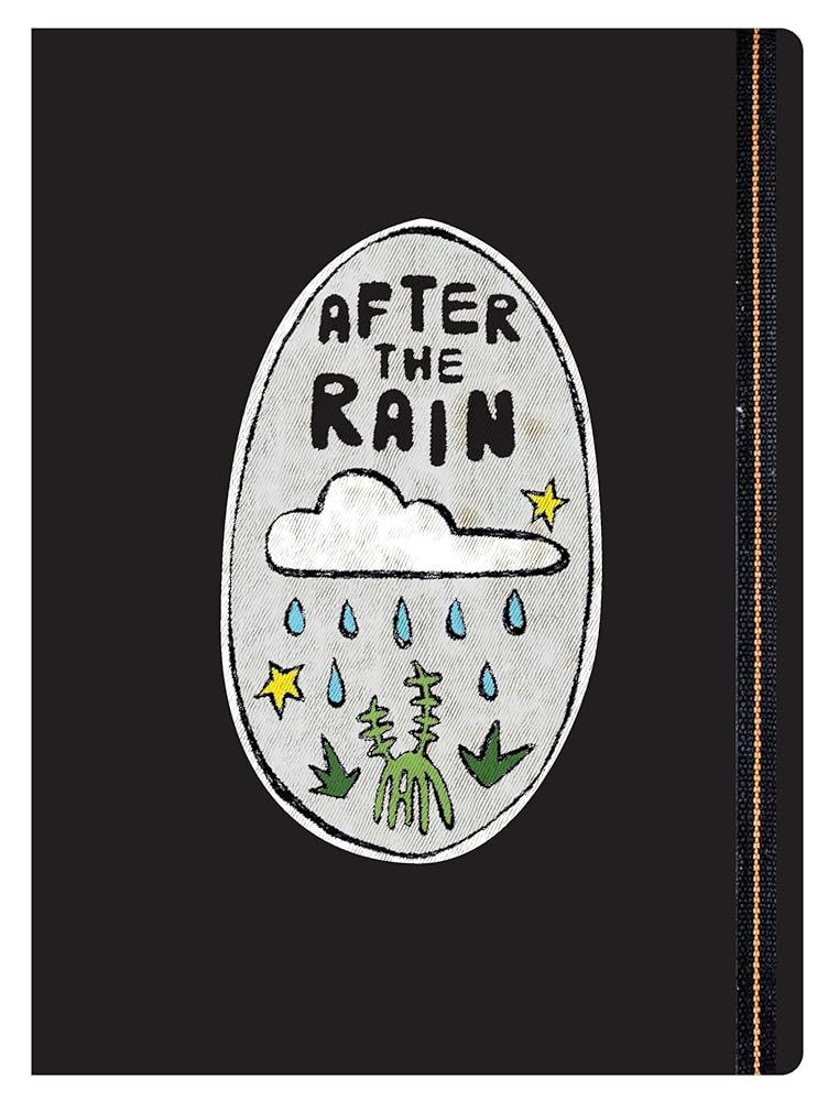After the Rain: 5th National Indigenous Art Triennial cover image