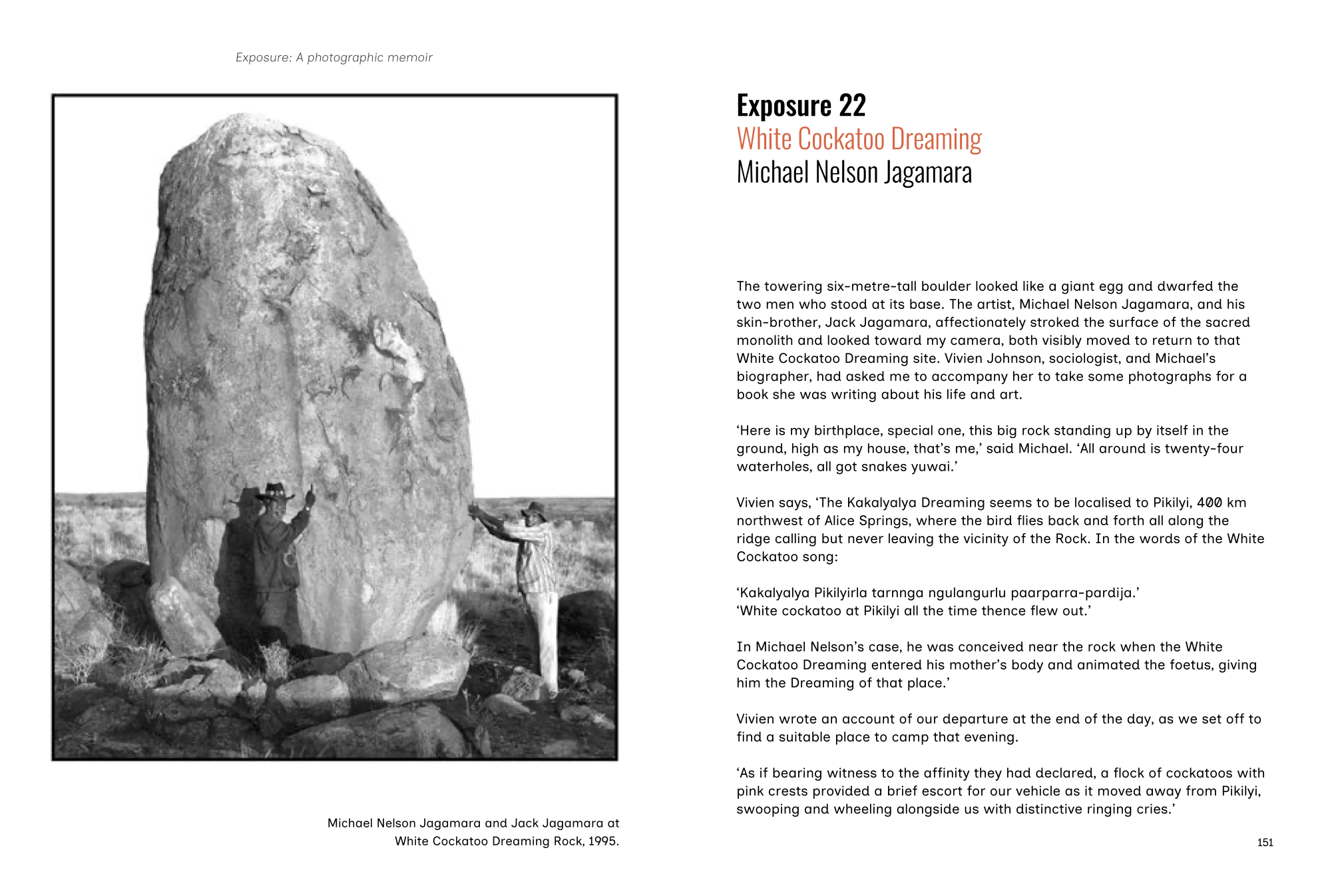 Page from a book featuring a black and white photograph of a person standing next to a large stone monument with text about 'White Cockatoo Dreaming' by Michael Nelson Jagamara.