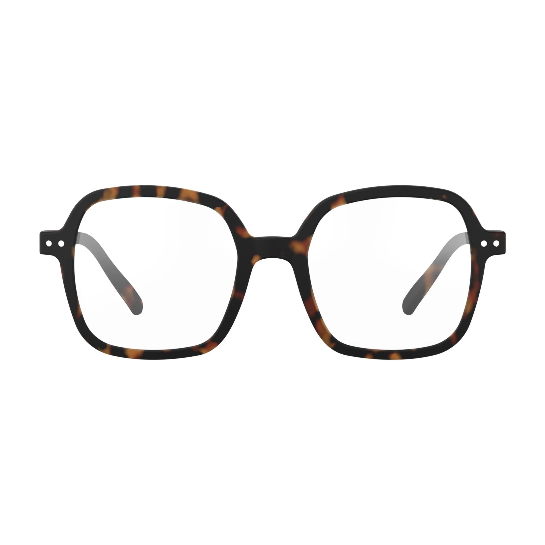 OUTLINE ART TEACHER Readers Tortoise