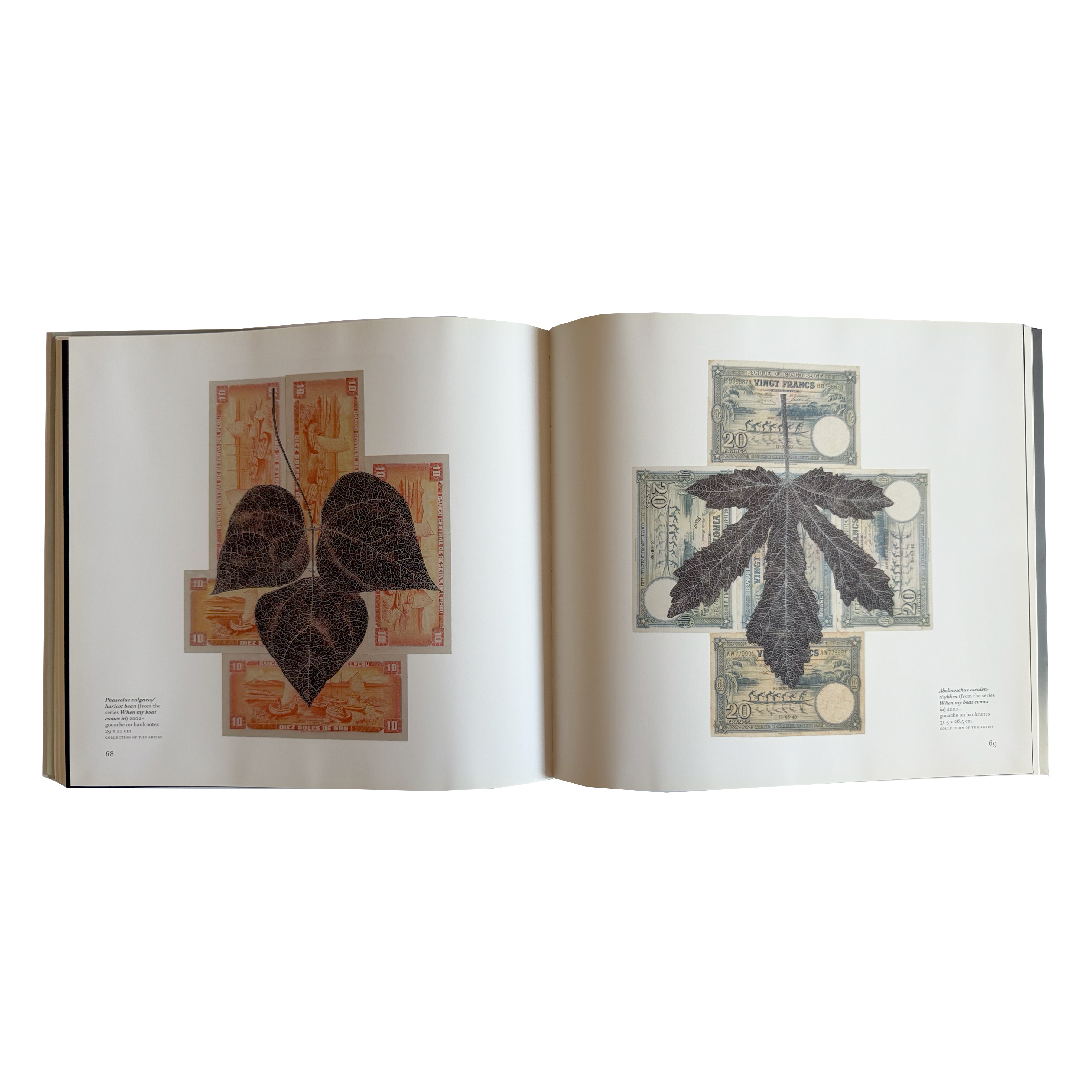 Fiona Hall Force Field